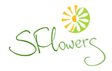 �������� ������ �� SFLowers!